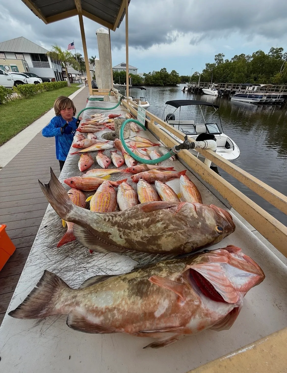 Day's catch at the dock — Open Ocean Sportfishing charter out of Marco Island, FL