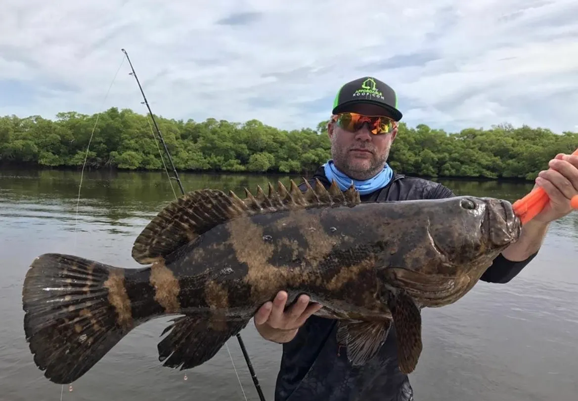 Goliath Grouper — Open Ocean Sportfishing charter out of Marco Island, FL