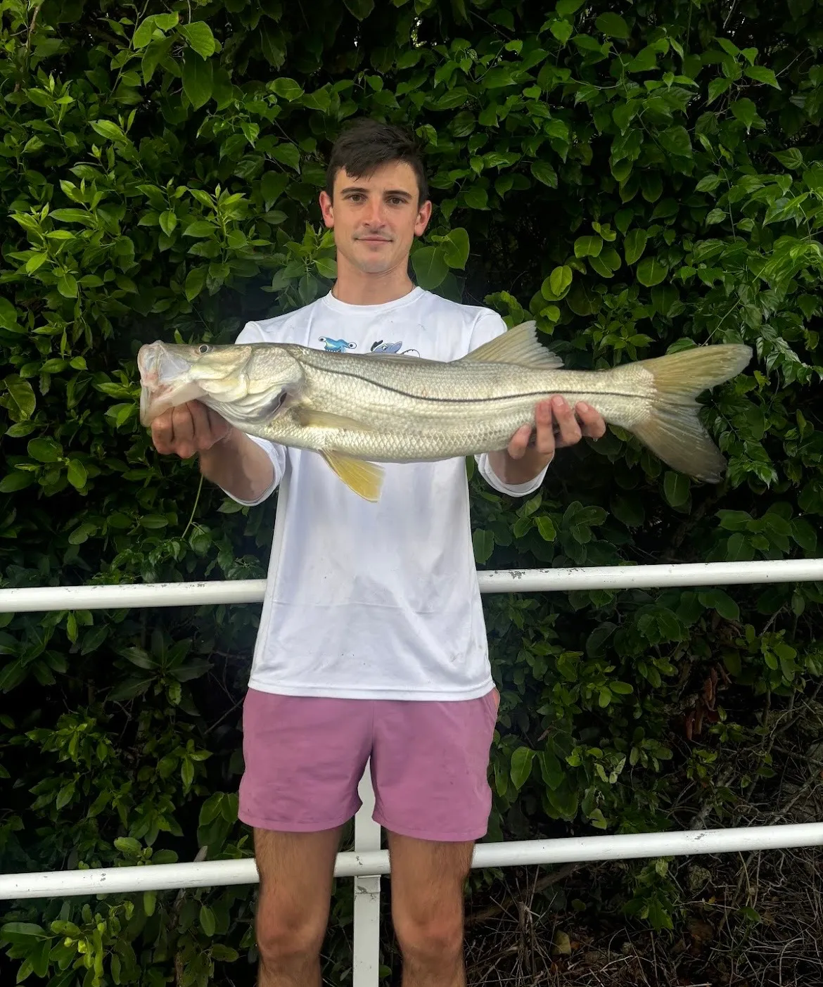 Snook — Open Ocean Sportfishing charter out of Marco Island, FL